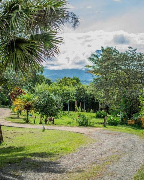 Linda Casa De Verano Con Amplias Zonas Verdes San Isidro De El General Ngoại thất bức ảnh
