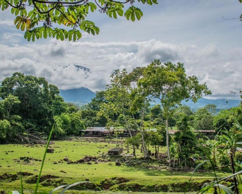 Linda Casa De Verano Con Amplias Zonas Verdes San Isidro De El General Ngoại thất bức ảnh